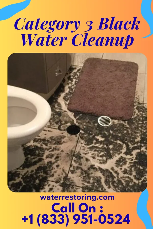 Category 3 Black Water Cleanup in Van Buren, OH