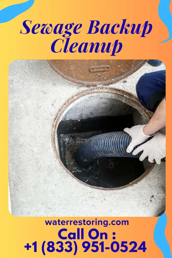 Sewage Backup Cleanup in Van Buren, OH