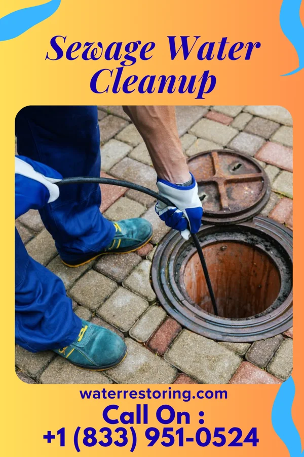 Sewage Water Cleanup in Van Buren, OH