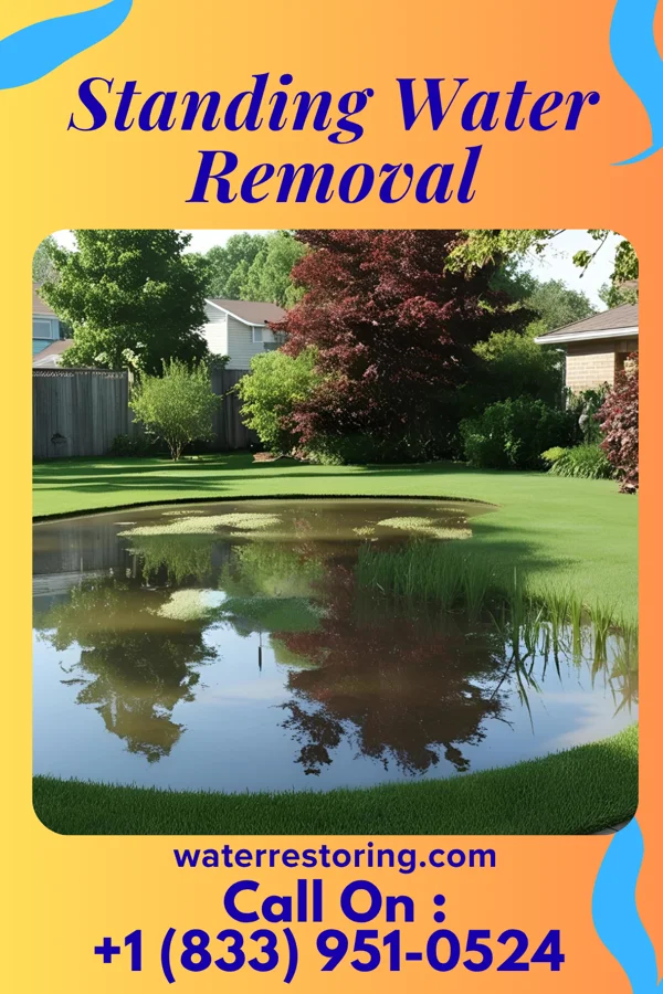 Standing Water Removal in Van Buren, OH
